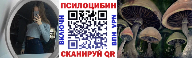 hydra онион  Полярные Зори  Псилоцибиновые грибы прущие грибы 